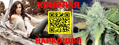 соль ск Нальчик